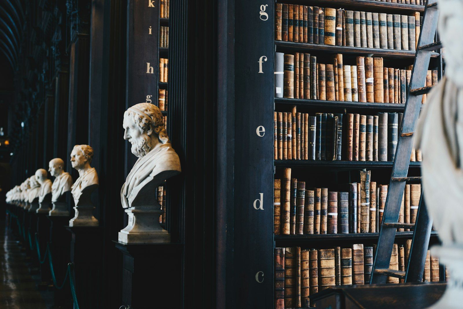 Sala de una biblioteca histórica institucional con estanterías y bustos, símbolo de trámites de ciudadanía europea